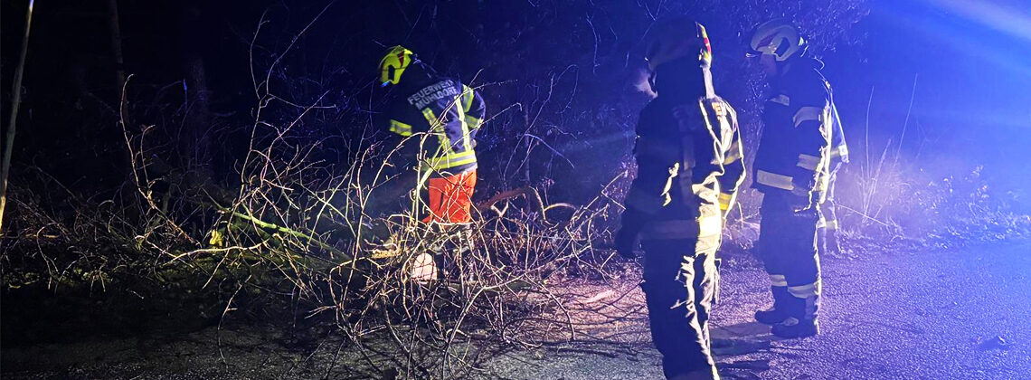Umgestürzter Baum blockierte den Schauerbachweg
